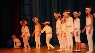 Plesno kazalisna udruga Zalet