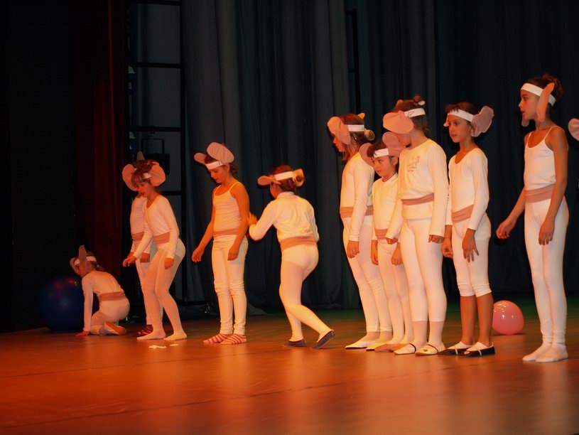 Plesno kazalisna udruga Zalet