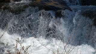 Đir do kraških ljepotica Krupe i Zrmanje, Foto: Vinko Pešić Đir do kraških ljepotica Krupe i Zrmanje, Foto: Vinko Pešić