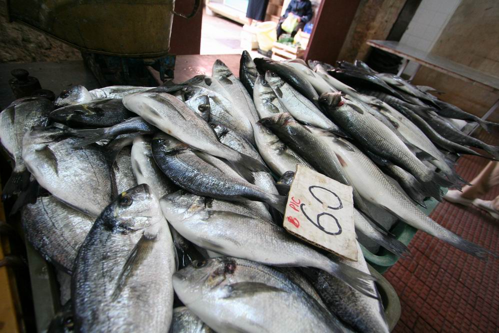 Pici 60 kn/kg