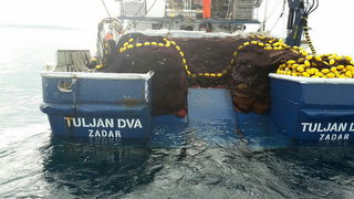 Posada plivarice “Tuljan dva” u jednu noć ulovila rekordnih 42 tone srdela, foto: Posada