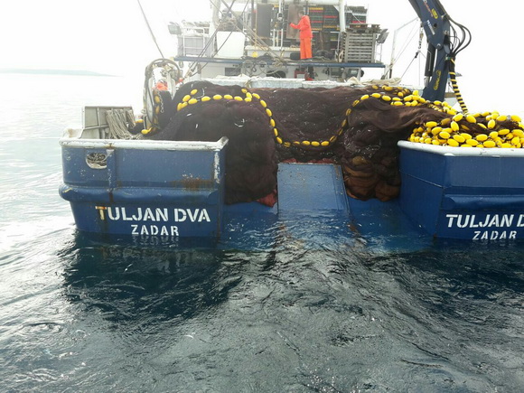 Posada plivarice “Tuljan dva” u jednu noć ulovila rekordnih 42 tone srdela, foto: Posada
