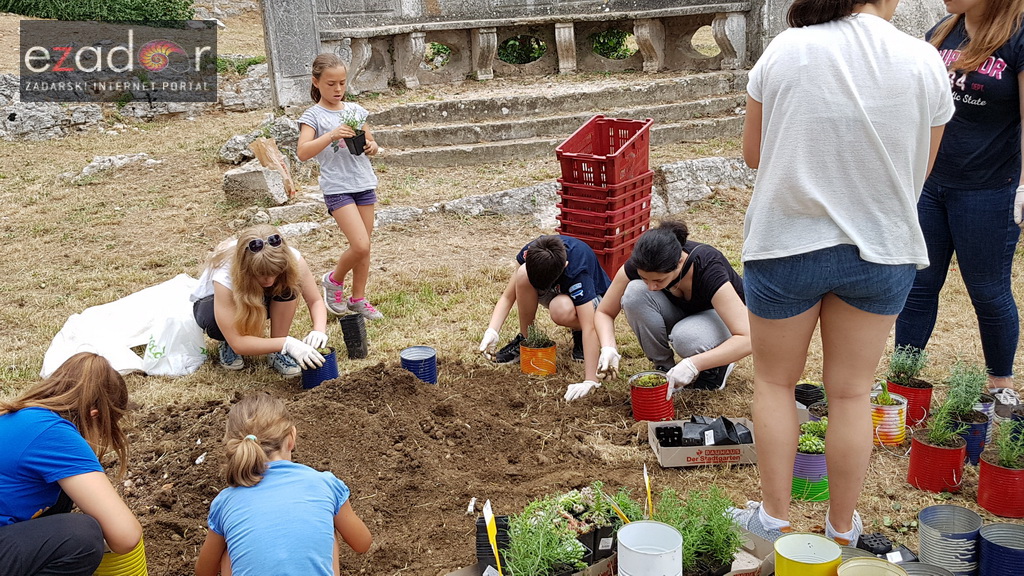 Građanska akcija “Sfinga- prostor za druženje”