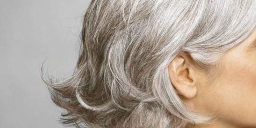 Sijeda kosa, foto: she.hr