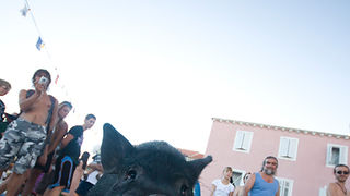 51. Saljske užance, 8. kolovoza 2010. (foto:Saša Čuka)