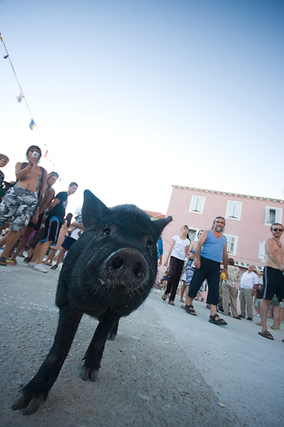 51. Saljske užance, 8. kolovoza 2010. (foto:Saša Čuka)