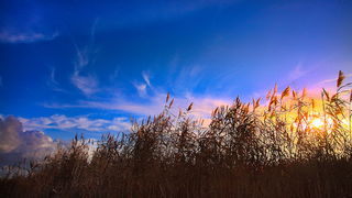 Vrana: Maskovica han, Foto: Leo Banic Vrana: Maskovica han, Foto: Leo Banic