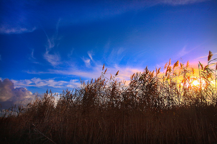 Vrana: Maskovica han, Foto: Leo Banic Vrana: Maskovica han, Foto: Leo Banic