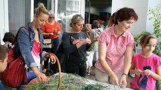 Danas je održana kreativna radionica za velike i male u organizaciji Dječjeg odjela Gradske knjižnice Zadar: izrada stručaka i jastučića od lavande od 10-12 h. Radionicu je vodila gospođa Jadranka Plantak. Foto by Lucija Juravic Danas je održana kreativna radionica za velike i male u organizaciji Dječjeg odjela Gradske knjižnice Zadar: izrada stručaka i jastučića od lavande od 10-12 h. Radionicu je vodila gospođa Jadranka Plantak. Foto by Lucija Juravic