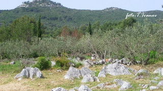 Prvosvibanjski izlet na Sveti Mihovil, Foto: Tomislav Ivanov