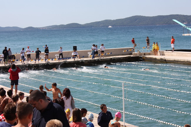 Plivacki miting “Zadar 2008.”
