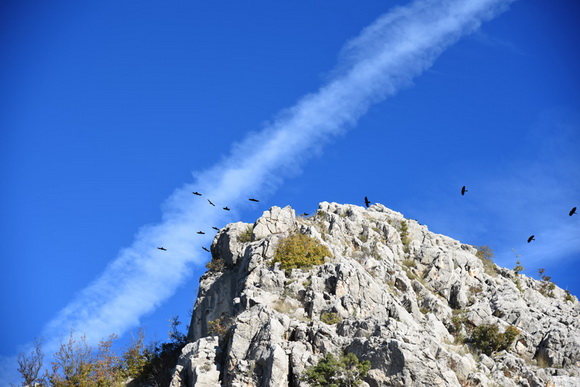 Đir do kraških ljepotica Krupe i Zrmanje, Foto: Vinko Pešić Đir do kraških ljepotica Krupe i Zrmanje, Foto: Vinko Pešić