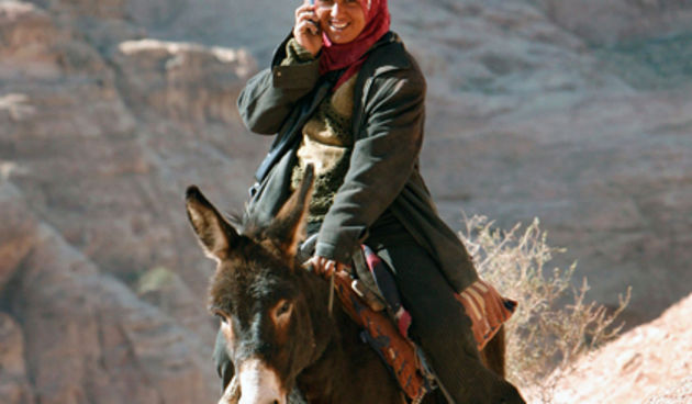 Magarac (Foto: awmuk.org)