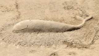 Lopar, 150612.
Nakon tri dana zavrsen je Prvi festival skulpture u pijesku
Najpjescanija plaza u Loparu, Rajska plaza ugostila je umjetnike i studente likovne akademije iz Zagreba na prvom festivalu skulpture u pijesku. Ukupno je izradjeno sedam skulptur Lopar, 150612.
Nakon tri dana zavrsen je Prvi festival skulpture u pijesku
Najpjescanija plaza u Loparu, Rajska plaza ugostila je umjetnike i studente likovne akademije iz Zagreba na prvom festivalu skulpture u pijesku. Ukupno je izradjeno sedam skulptur