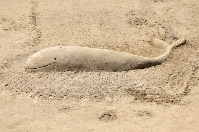 Lopar, 150612.
Nakon tri dana zavrsen je Prvi festival skulpture u pijesku
Najpjescanija plaza u Loparu, Rajska plaza ugostila je umjetnike i studente likovne akademije iz Zagreba na prvom festivalu skulpture u pijesku. Ukupno je izradjeno sedam skulptur Lopar, 150612.
Nakon tri dana zavrsen je Prvi festival skulpture u pijesku
Najpjescanija plaza u Loparu, Rajska plaza ugostila je umjetnike i studente likovne akademije iz Zagreba na prvom festivalu skulpture u pijesku. Ukupno je izradjeno sedam skulptur