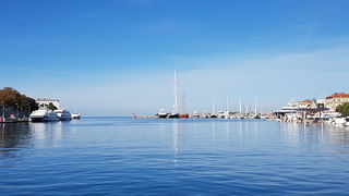 Đir po gradu 19. listopada 2016.