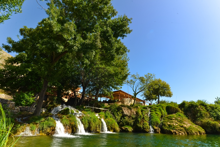 Prekrasna priroda iz okolice Zadra Prekrasna priroda iz okolice Zadra