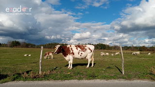 Gospić: Jesen u Lici 2018. Gospić: Jesen u Lici 2018.