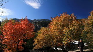 Paklenica: Boje jeseni, Foto: Mladen Radolovic Mrlja