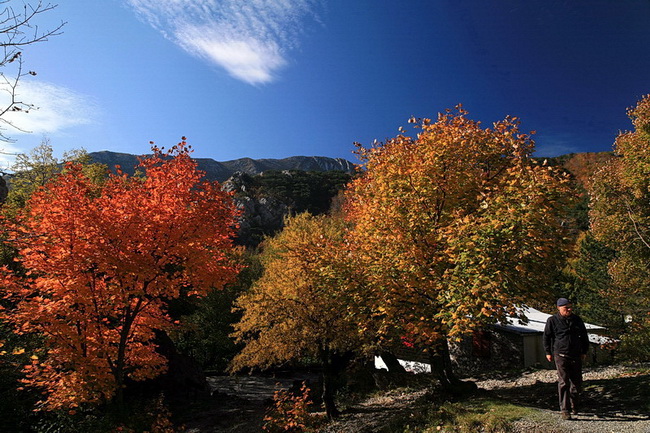 Paklenica: Boje jeseni, Foto: Mladen Radolovic Mrlja