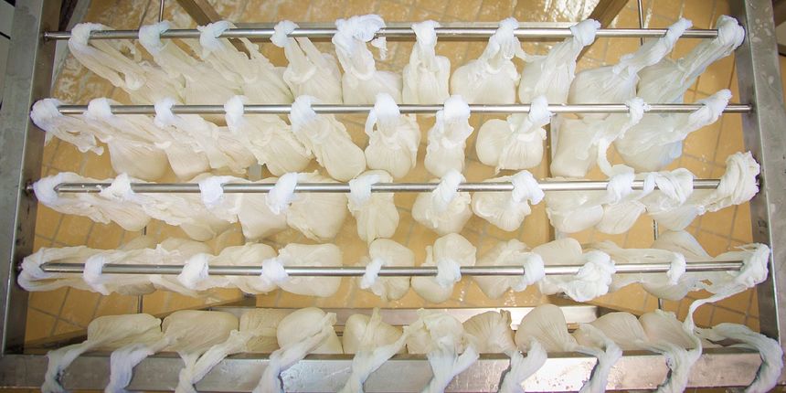 Paška skuta Paška skuta