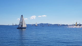 Zadarska Koka 2016. 22. listopada 2016. Foto: Mladen Malik Zadarska Koka 2016. 22. listopada 2016. Foto: Mladen Malik