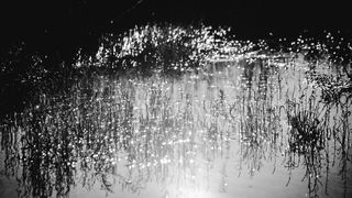 Crno bijela bajka na Kraljičinoj plaži, foto: Iva Perinčić