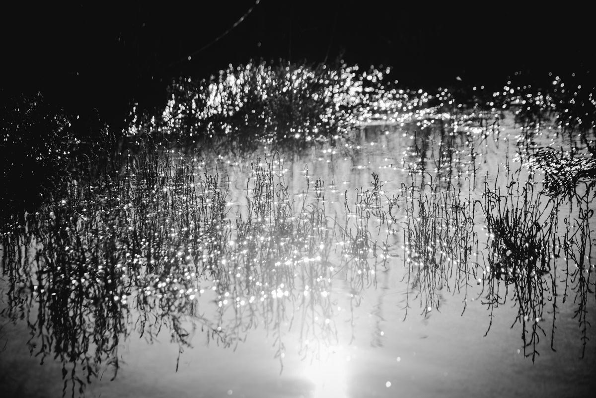 Crno bijela bajka na Kraljičinoj plaži, foto: Iva Perinčić