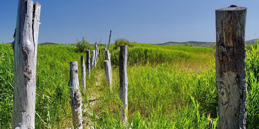 Vrana, foto:Leonard Kvarantan Vrana, foto:Leonard Kvarantan