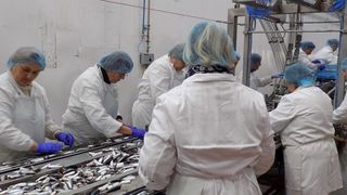 Otvoren pogon tvrtke Mardešić