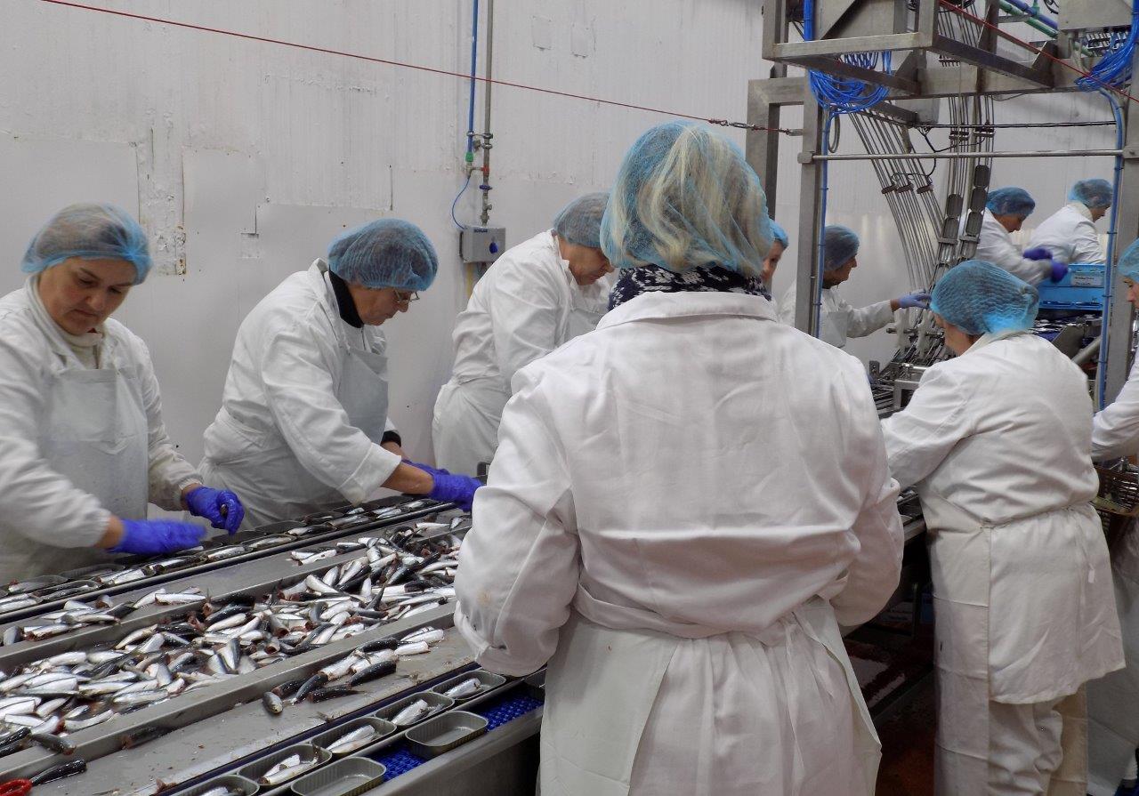 Otvoren pogon tvrtke Mardešić