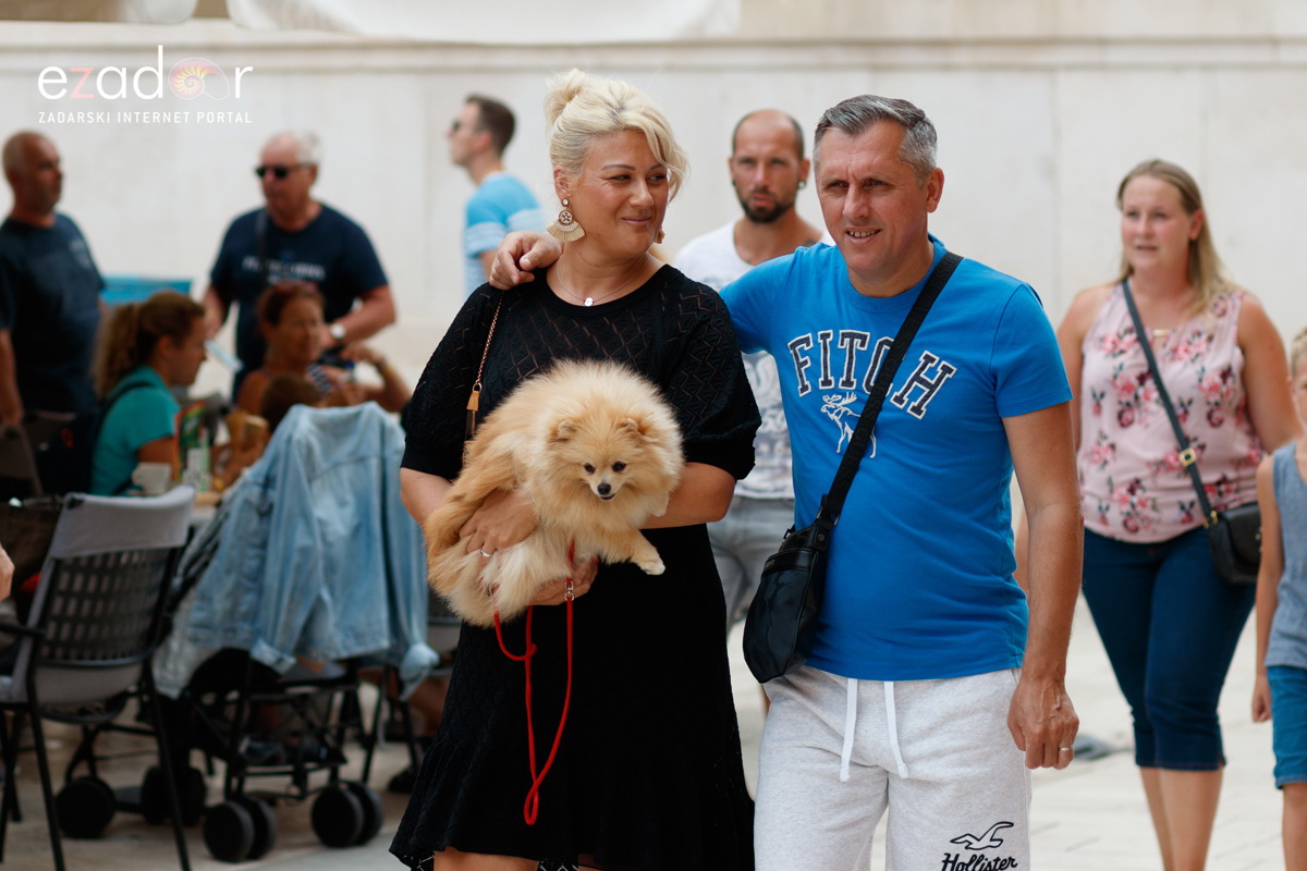 Đir po gradu, ponedjeljak 29. srpnja 2019. Đir po gradu, ponedjeljak 29. srpnja 2019.