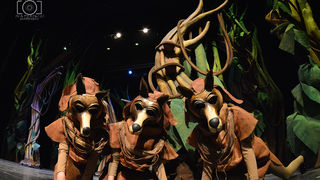 Knjiga o džungli, foto: Iva Perinčić Knjiga o džungli, foto: Iva Perinčić