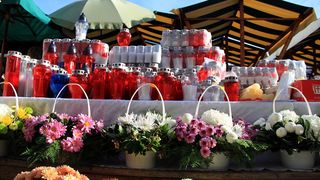 Započela prodaja cvijeća na zadarskoj tržnici, foto-I. Perinčić Započela prodaja cvijeća na zadarskoj tržnici, foto-I. Perinčić