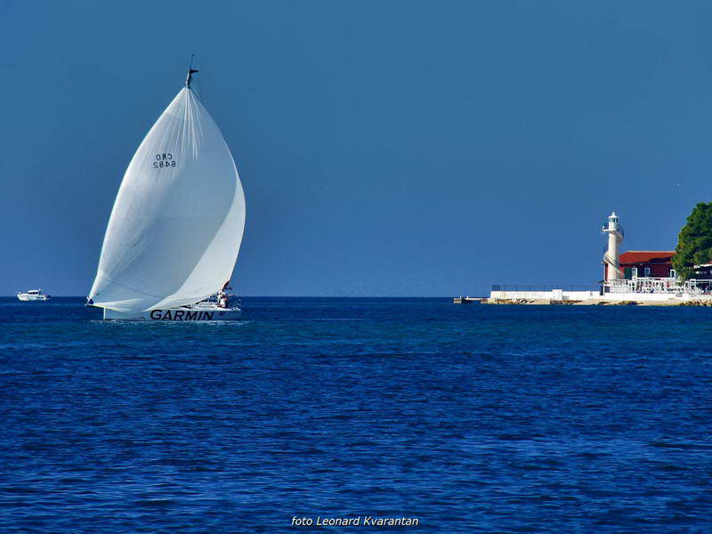 “Zadarska koka”: Regata za sve generacije snimljena iz “koke” “Zadarska koka”: Regata za sve generacije snimljena iz “koke”