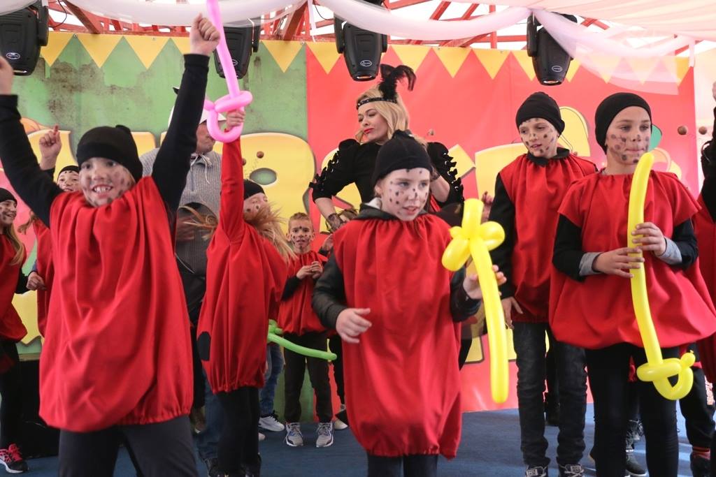 Virski Karnevalić 2017.