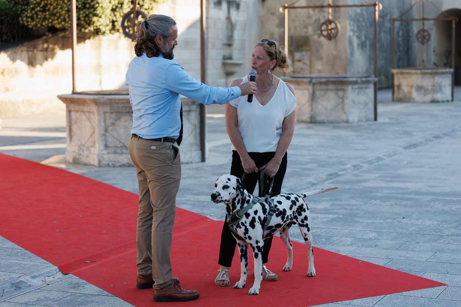 Red Carpet Dalmatian Walk @Trg pet bunara Red Carpet Dalmatian Walk @Trg pet bunara