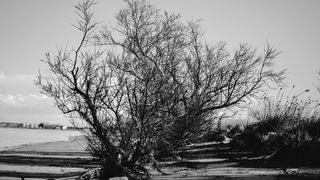 Crno bijela bajka na Kraljičinoj plaži, foto: Iva Perinčić