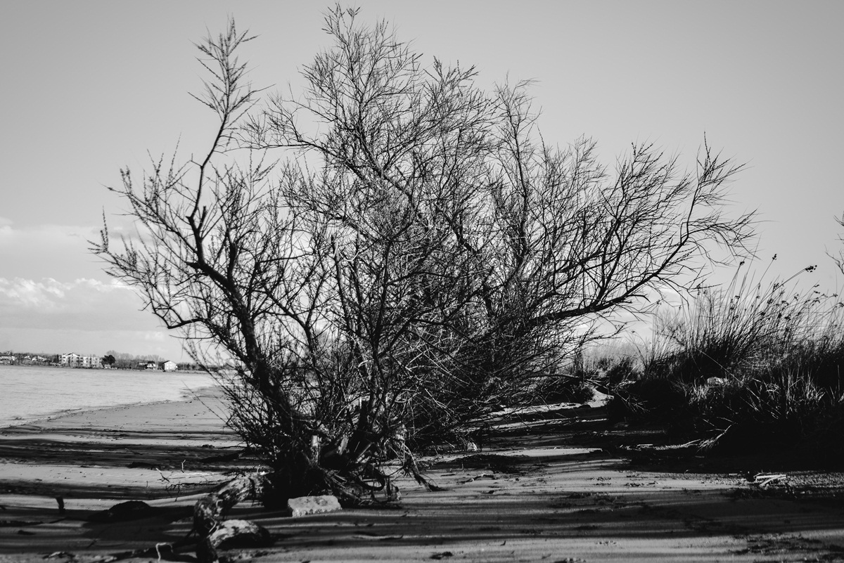 Crno bijela bajka na Kraljičinoj plaži, foto: Iva Perinčić