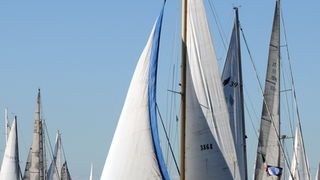 Trst: Barcolana 2009.