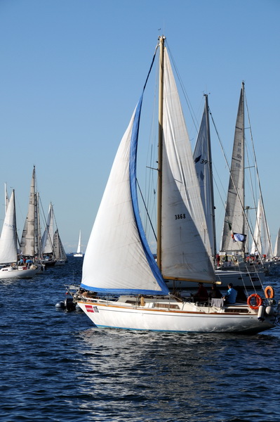 Trst: Barcolana 2009.