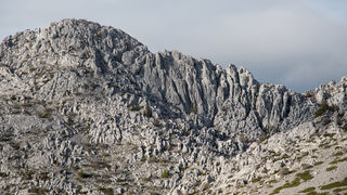 Velebitska katedrala – Tulove grede. Foto: Vinko Pešić Velebitska katedrala – Tulove grede. Foto: Vinko Pešić