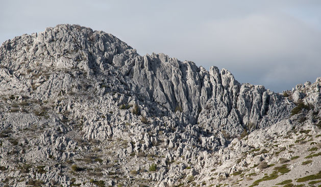 Velebitska katedrala – Tulove grede. Foto: Vinko Pešić