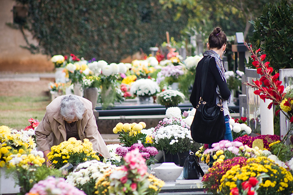 Gradsko groblje uoči blagdana Svih svetih (foto:Saša Čuka) Gradsko groblje uoči blagdana Svih svetih (foto:Saša Čuka)