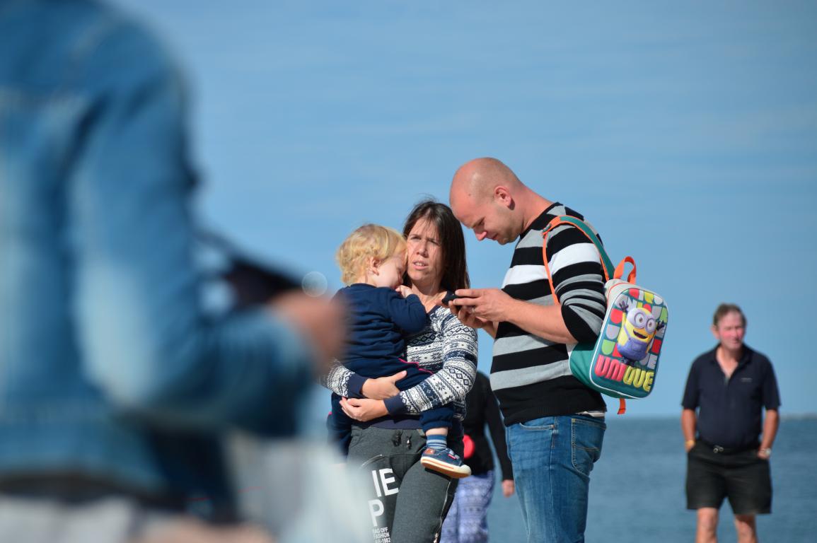 Đir po zadarskoj rivi 9. listopada 2016.