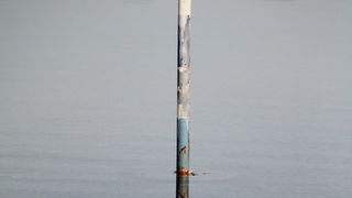 Đir uz Vransko jezero, Foto: Iva Perinić Đir uz Vransko jezero, Foto: Iva Perinić