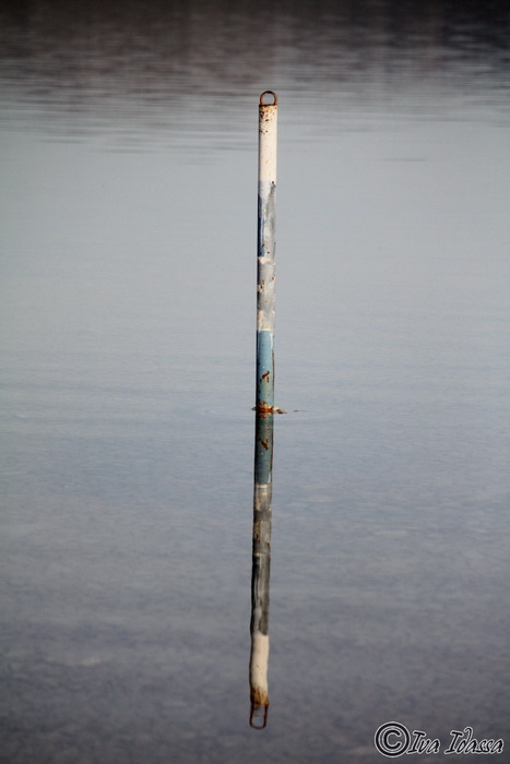 Đir uz Vransko jezero, Foto: Iva Perinić Đir uz Vransko jezero, Foto: Iva Perinić