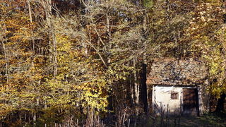 Varazdin, 301010.
Na podrucju brdovitog dijela opcine Vinice, koja je udaljena petnaest-ak kilometara od Varazdina ovih dana se moze vidjeti predivan spektar boja koje su nam dostupne samo nekoliko dana u godini.
Naime, pocetak opadanja lisca s drveca i p Varazdin, 301010.
Na podrucju brdovitog dijela opcine Vinice, koja je udaljena petnaest-ak kilometara od Varazdina ovih dana se moze vidjeti predivan spektar boja koje su nam dostupne samo nekoliko dana u godini.
Naime, pocetak opadanja lisca s drveca i p