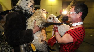 Zadar, 280212
Zadarski modni macak, Jadranko Kljucanin, veceras je unutar i ispred kafica Petit izveo performans sa sukosanskim zvoncarima i njihovim janjcima. 
Foto: Luka Gerlanc / CROPIX