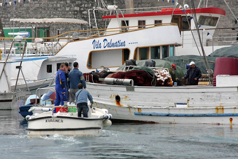 Potpora zadarskih ribara hrvatskoj Vladi za proglasenje ZERP-a